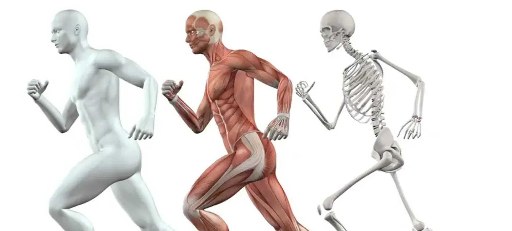 Body Mechanics