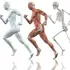 Body Mechanics