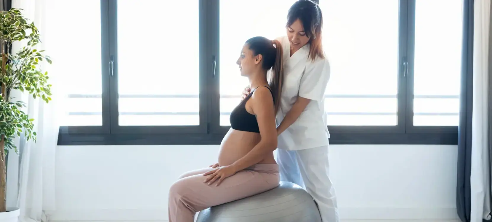 Postpartum Doula Course – Flagship Program